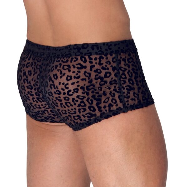 Noir Sheer Animal Print Pants - Image 2