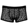 Noir Sheer Animal Print Pants - Image 3