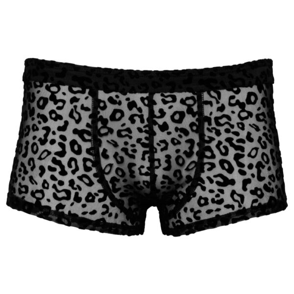 Noir Sheer Animal Print Pants - Image 3