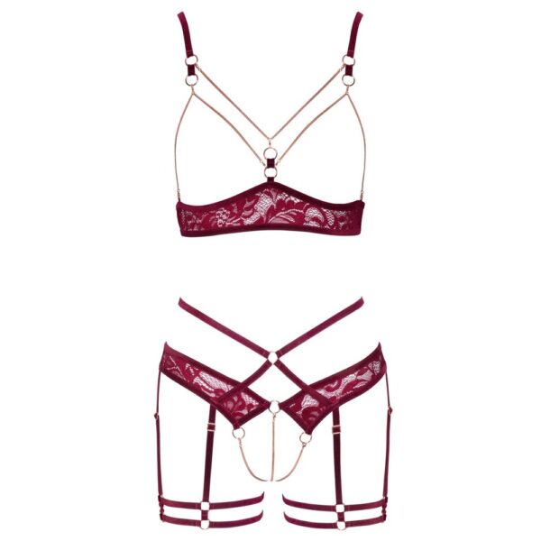 Abierta Fina Open Red Lace Set - Image 4