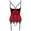 Cupless and Crotchless Basque - Image 4