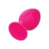 Cheeky Butt Plug Duo Pink - Image 3